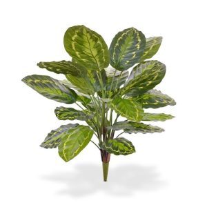 maar ook de bladeren zelfs nog eens kunt modelleren. Extra aandacht is uitgegaan naar de bladprint in verschillende kleuren en designs. De kunstzijden Calathea heeft
