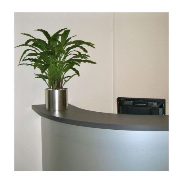 Calathea-groen-85-cm-kunstplant-5 Calathea groen 85 cm kunstplant 5