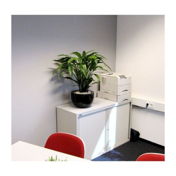 Calathea groen 85 cm kunstplant Als u op zoek bent naar een mooie bladplant voor op kantoor of in de huiskamer dan is deze Calathea absoluut een aanrader. Door zijn opbouw