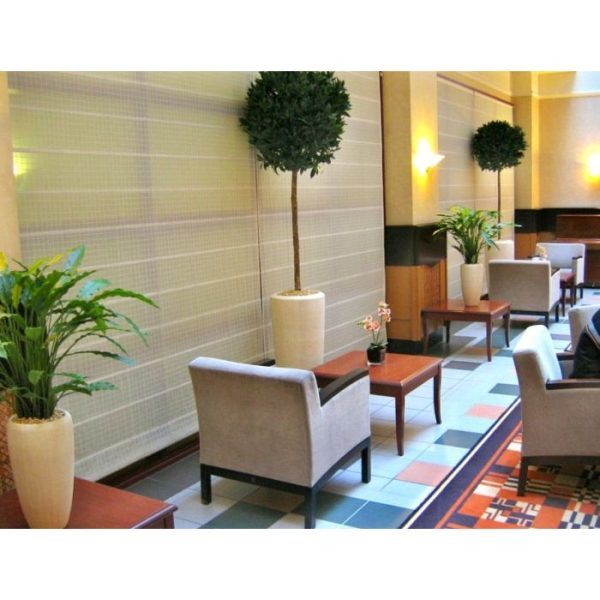 Calathea-groen-85-cm-kunstplant-8 Calathea groen 85 cm kunstplant 8