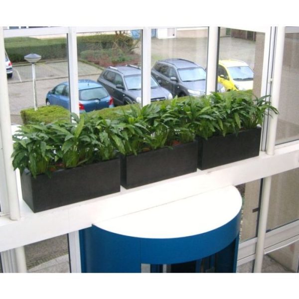 Calathea-groen-85-cm-kunstplant-9 Calathea groen 85 cm kunstplant 9