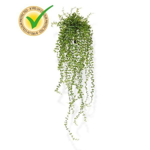 Callisia-kunsthangplant-70-cm-UV-4 meer naar onder wordt dit losser. Met de steker aan de achterkant kunt u ze makkelijk opsteken. De lengte is ongeveer 70 cm