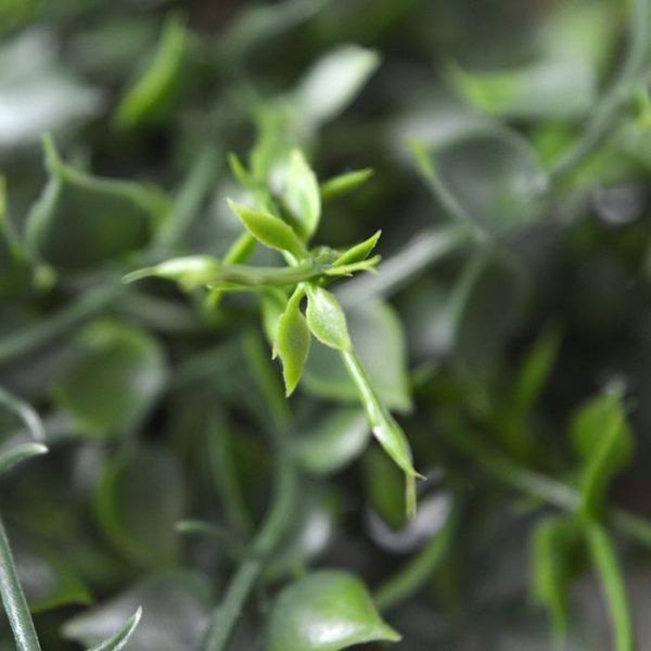 Callisia-kunsthangplant-70-cm-UV-5 de breedte ongeveer 15 cm.