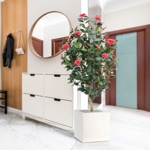 Camelia-Japonica-Kunstplant-Deluxe-150-cm-rose-10 Camelia Japonica Kunstplant Deluxe 150 cm rose 10