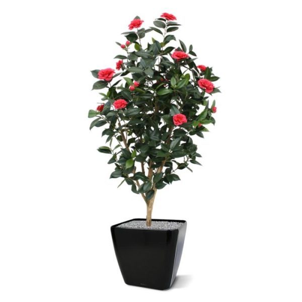 Bloeiende kunstbomen Camelia Japonica Kunstplant Deluxe 150 cm rose 2