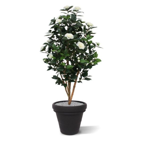 Camelia Japonica kunstboom deluxe 150 cm creme Deze Camelia Japonica behoort zeker tot de top onder de bloeiende kunstbomen. De boom is gemaakt op echte houten stammen en heeft een zeer natuurlijke vorm