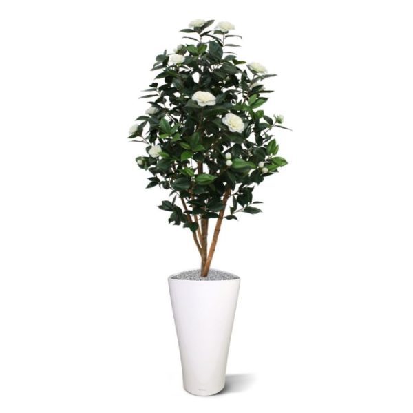 Camelia-Japonica-kunstboom-deluxe-150-cm-creme-8 Camelia Japonica kunstboom deluxe 150 cm creme 8
