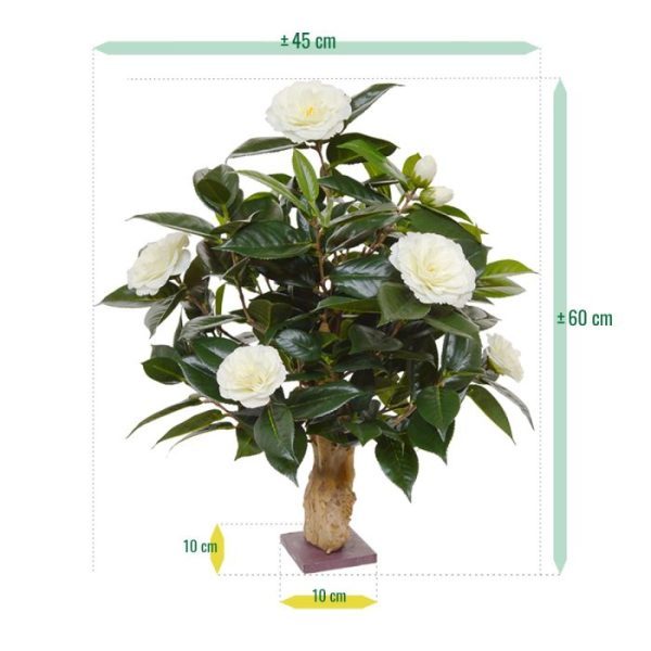 gekartelde bladeren uit komen. De Camelia bloemen van hoogwaardige kunstzijde hebben crèmekleurige bloemen met een delicaat geel hart en hebben allemaal diverse afmeting