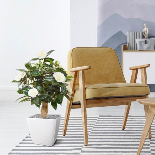 van kleine knoppen tot volgroeide open camelia bloemen. De kunstbloeier heeft een hoogte van ongeveer 60 cm en een diameter van circa 45 cm en wordt op voet geleverd zodat u deze eenvoudig in een sierpot of schaal kunt plaatsen. U kunt zelf variëren met de hoogte en bepalen hoeveel u van de stam wilt zien of dat het enkel een bladvullend geheel vormt.