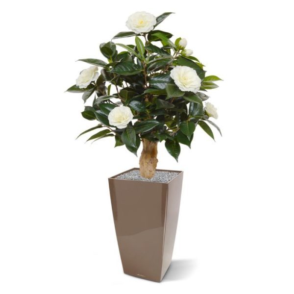 Camelia kunstplant 60 cm op voet creme 8