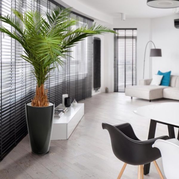 Canarie Phoenix Kunstpalm Deluxe 210 cm 6