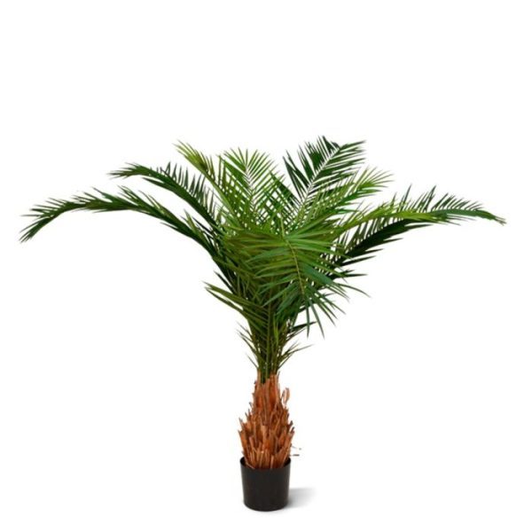 Canarie Phoenix Kunstpalm Deluxe 210 cm 9