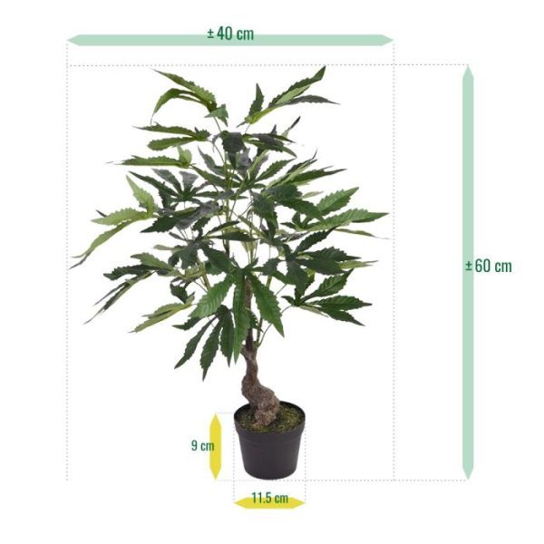 enkel de geur moet u er zelf bijdenken.