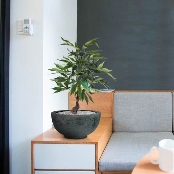 Cannabis kunstplant 60 cm 5