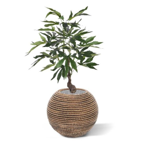 Cannabis kunstplant 60 cm 8
