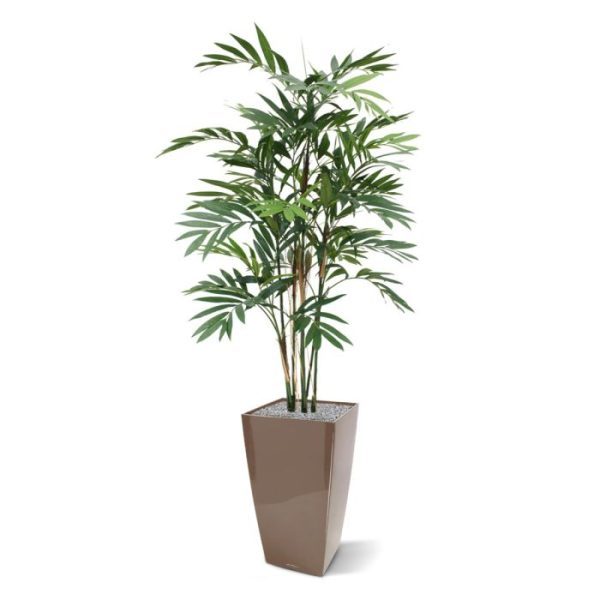 Kunstbomen de breedte bedraagt circa 100 cm. Speciale aandacht is uitgegaan naar de afstervende delen van de stengels