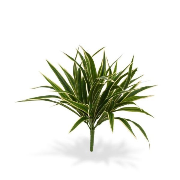 Groene kunstplanten de Chlorophytum S leent zich er perfect voor! De diameter van de Chlorophytum S is ongeveer 30-35 cm en de hoogte is ongeveer 30 cm (inclusief steel). De kunstplant wordt geleverd als steker zodat deze makkelijk te verwerken is. De afgebeelde sierpotten kunnen apart besteld worden. Vanaf 12 stuks profiteert u van de voordeel korting!