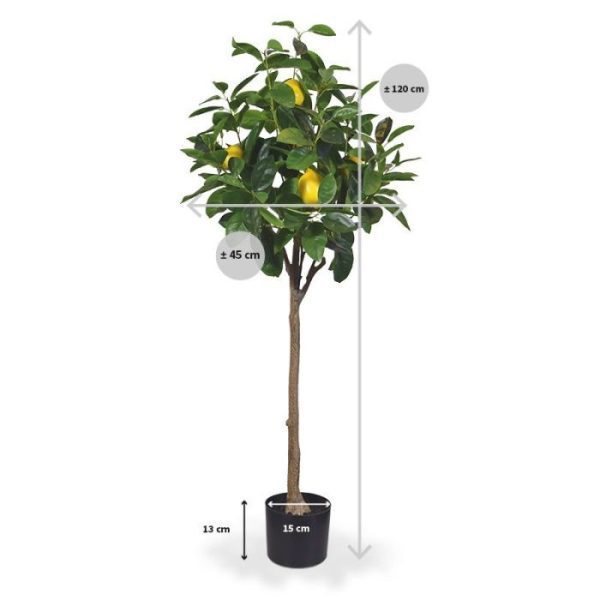 Citroen kunstboom op stam 120 cm Deze kunst citroen op stam van 120 cm hoogte lijkt zo regelrecht weggelopen te zijn uit het Middellandse Zeegebied. Wat een prachtig Mediterraans sfeertje zal deze vrolijke knapperd brengen. Mag deze prachtige en toch ook praktische in uw serre