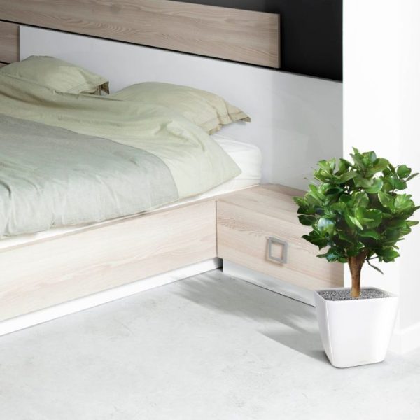 Clusia-bol-kunstplant-55-cm-5 Clusia bol kunstplant 55 cm 5