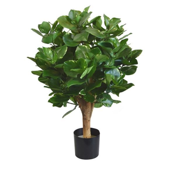 Clusia-bol-kunstplant-55-cm-7 Clusia bol kunstplant 55 cm 7