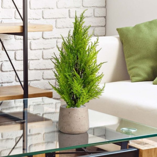 wordt geleverd in een plastic pot (diameter 10cm). Door zijn afmeting is deze kunst Conifeer perfect geschitk om in balkonbakken te gebruiken.
