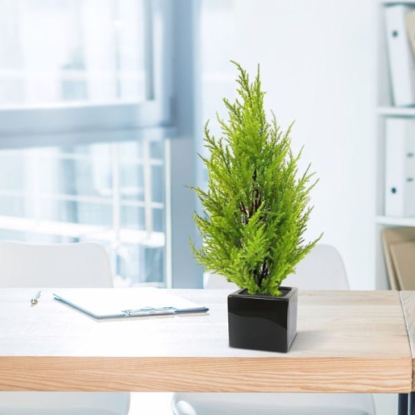 Conifeer 45cm in pot geelgroen 4