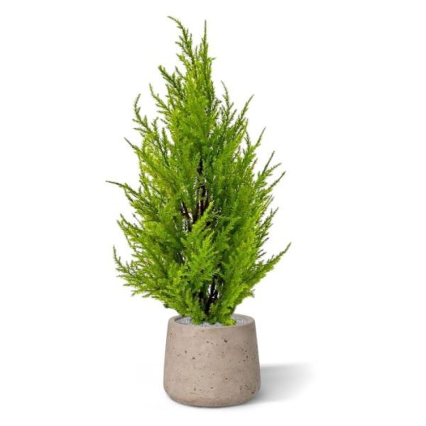 Deze kunst conifeer ziet er niet alleen geweldig realistisch uit