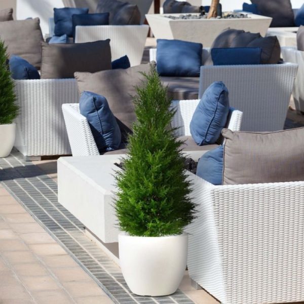 Conifeer-Deluxe-100-cm-UV-10 Conifeer Deluxe 100 cm UV 10