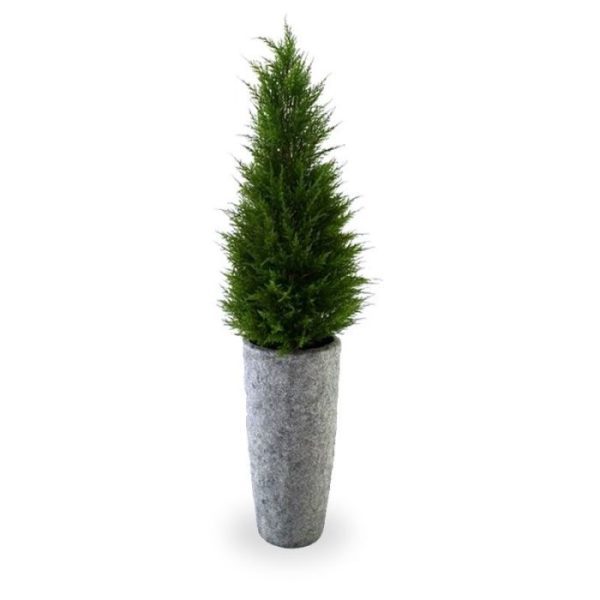 zodat deze eenvoudig in een decoratieve plantenbak geplaatst kan worden.