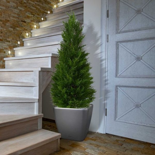 Conifeer Deluxe 100cm 5