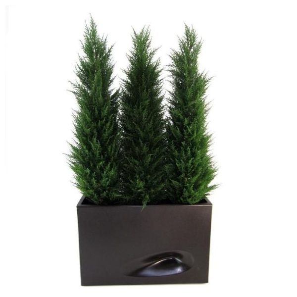 Conifeer Deluxe 120 cm UV 6