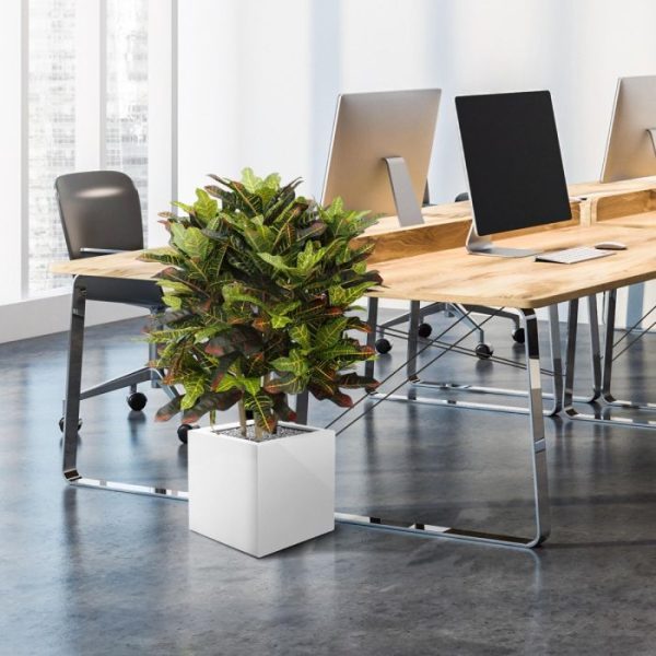 Croton Deluxe XL 90 cm kunstplant 6