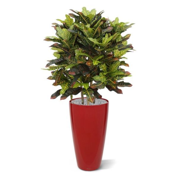 Croton Deluxe XL 90 cm kunstplant 9