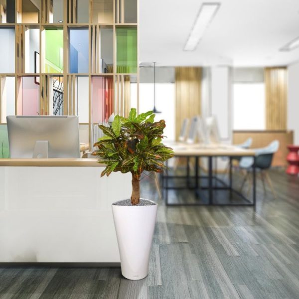 Croton kunstplant 65 cm op voet 9