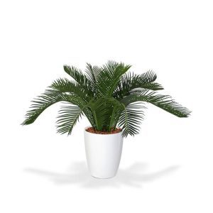 Deze nieuwe Cycas Baby kunstpalm ziet er niet alleen heel echt uit