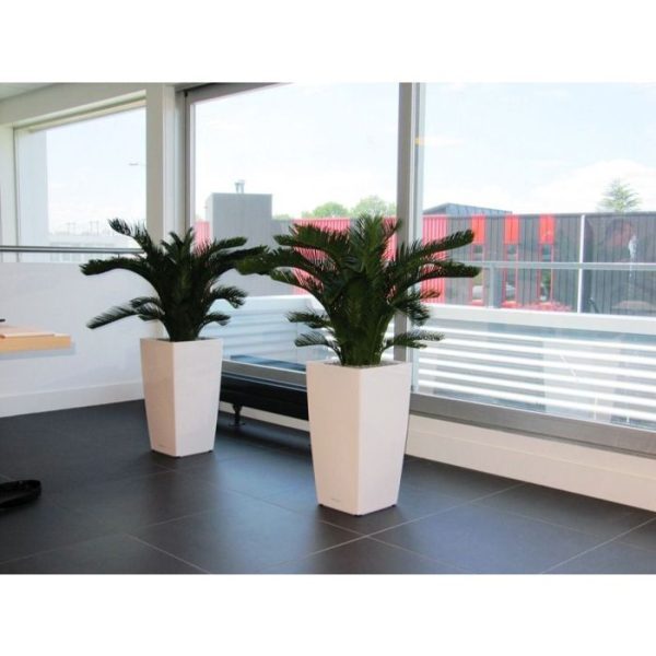 Groene kunstplanten zodat deze eenvoudig in een luxe overpot kan worden gezet.   Een echte tropische sfeermaker!