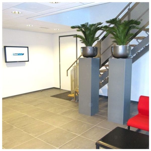 Cycas-kunstpalm-M-Deluxe-80-cm-3 Cycas kunstpalm M Deluxe 80 cm 3