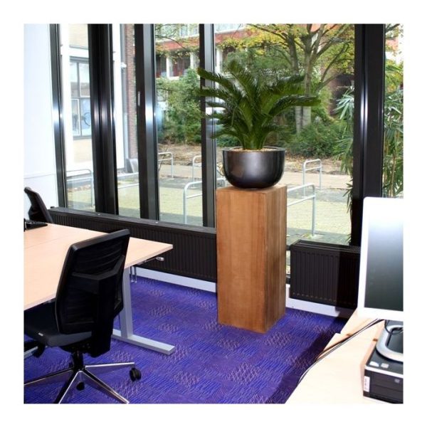 Cycas-kunstpalm-M-Deluxe-80-cm-4 Cycas kunstpalm M Deluxe 80 cm 4