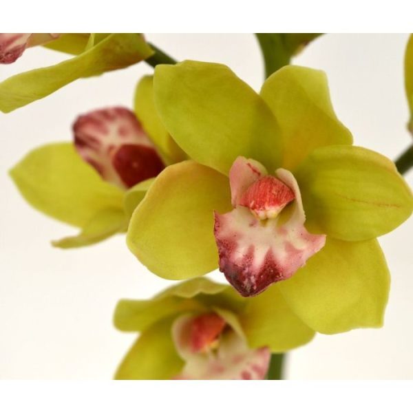 Kunstbloemen uit de familie van de orchideeën