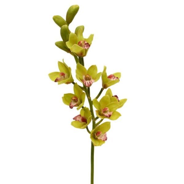 Cymbidium-Deluxe-70-cm-groen-4 tot een mooi kunstboeket worden verwerkt. De kunsttak is prachtig nagemaakt met vele zijtakken