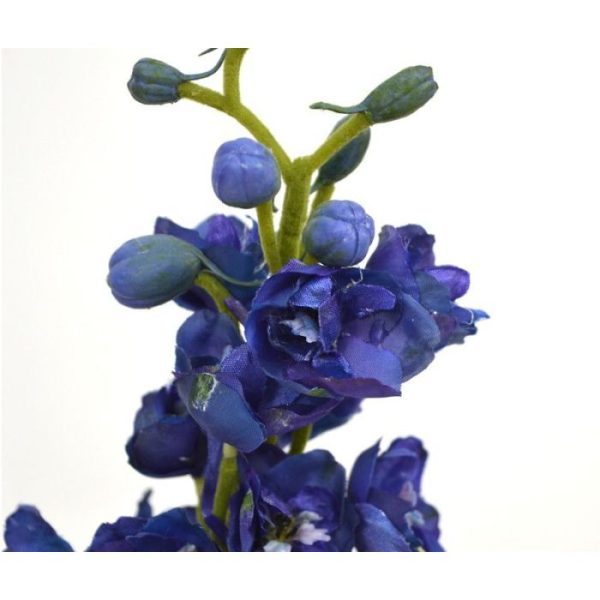 ook wel Ridderspoor genoemd