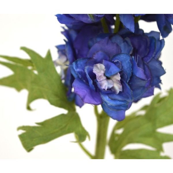 Deze Delphinium Tak 60 cm