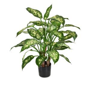 Vanaf het allereerste echte houten stammen tot en met het laatste zorgvuldig geweven kunstzijden blad…. alles aan deze deluxe versie kunst Dieffenbachia in pot van 60 cm is werkelijk tot in de laatste puntjes prachtig nagemaakt. Hierdoor ziet deze kunstplant er niet alleen zeer natuurgetrouw en levensecht uit