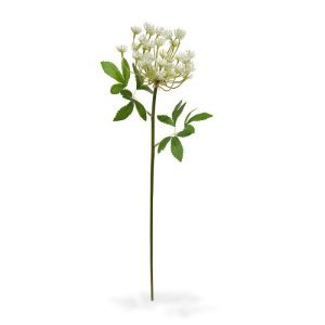 Deze sierlijk nagemaakte Dille kunsttak (Anethum graveolens) is een graag geziene gast in menig kunstboeket en in de keuken. Dit smakelijke en in de wind wiegende keukenkruid ziet er ook nog eens heel bijzonder uit met zijn crèmekleurige schermbloemen