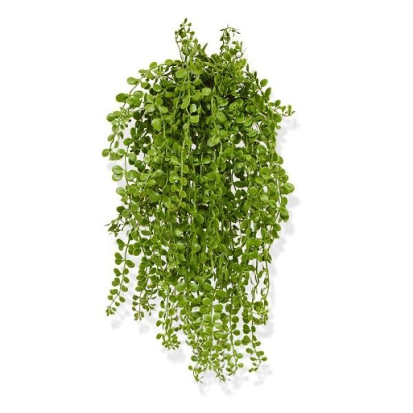 de breedte ongeveer 22 cm.