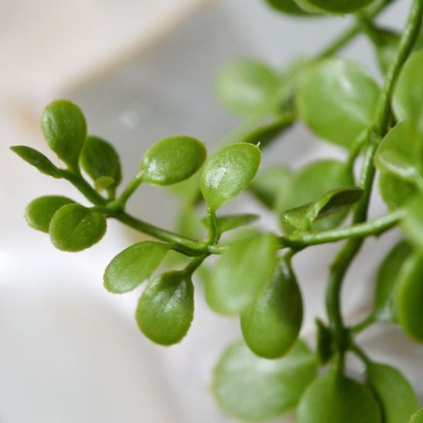 Deze Dischidia Nummularia kunsthangplant is een grappig en springerig hangplantje dat zowel op een kast kan staan als ook in een vaas gestoken kan worden. Met zijn felgroene