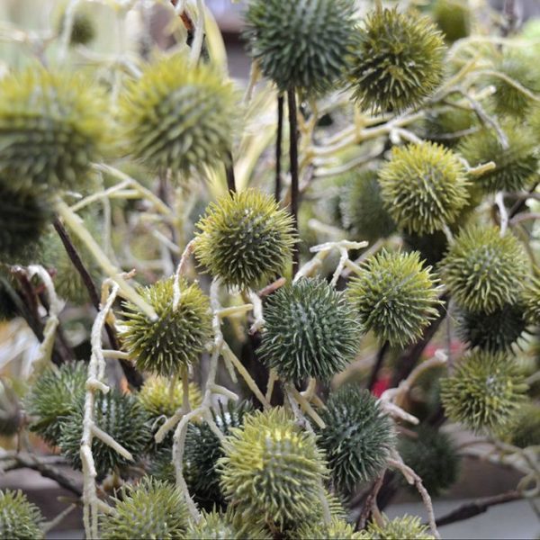 Kunst steelbloemen voorzien van stekels.   De kunst Distel tak wordt standaard als losse steel geleverd en mag natuurlijk in geen enkel kunstzijden veldboeket ontbreken!   De totale steel heeft een lengte van ongeveer 85 cm en een breedte van ongeveer 25 cm en is verkrijgbaar in groen en bruin.   Vanaf 12 stuks profiteert u van een korting op de prijs.