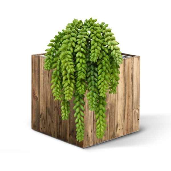 Kunsthangplanten de breedte is bijna 20 cm en het wordt als los boeket geleverd.   Deze kunst Donkey Tail is uitstekend op te steken in een hoger model sierpot