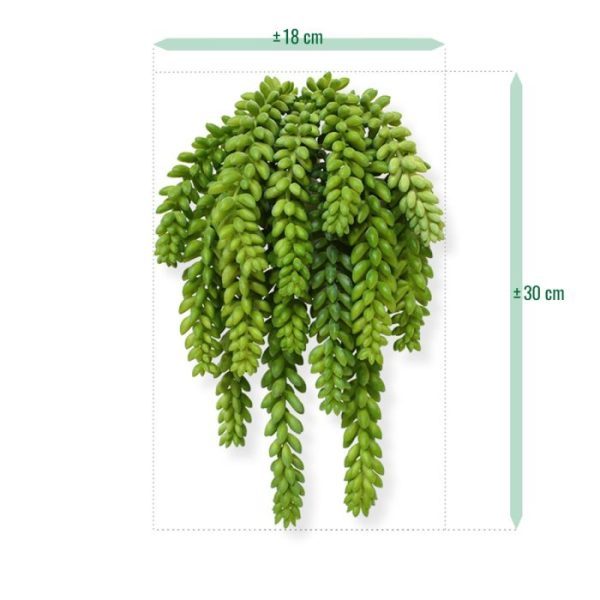 Donkey-tail-kunstboeket-30-cm-3 met meerdere in een rij. Maar ook in een luxe platte schaal vrolijkt deze kunst vetplant iedere tafel of vensterbank op.
