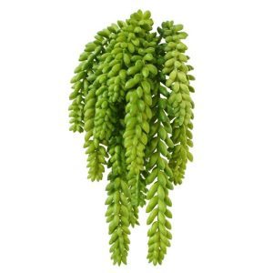 Deze schitterend nagemaakte Donkey tail kunstboeket van 30 cm hoogte zal uw huis